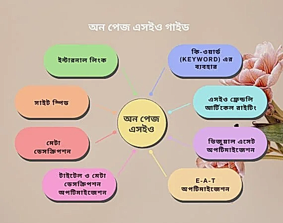 অন পেজ এসইও গাইড 